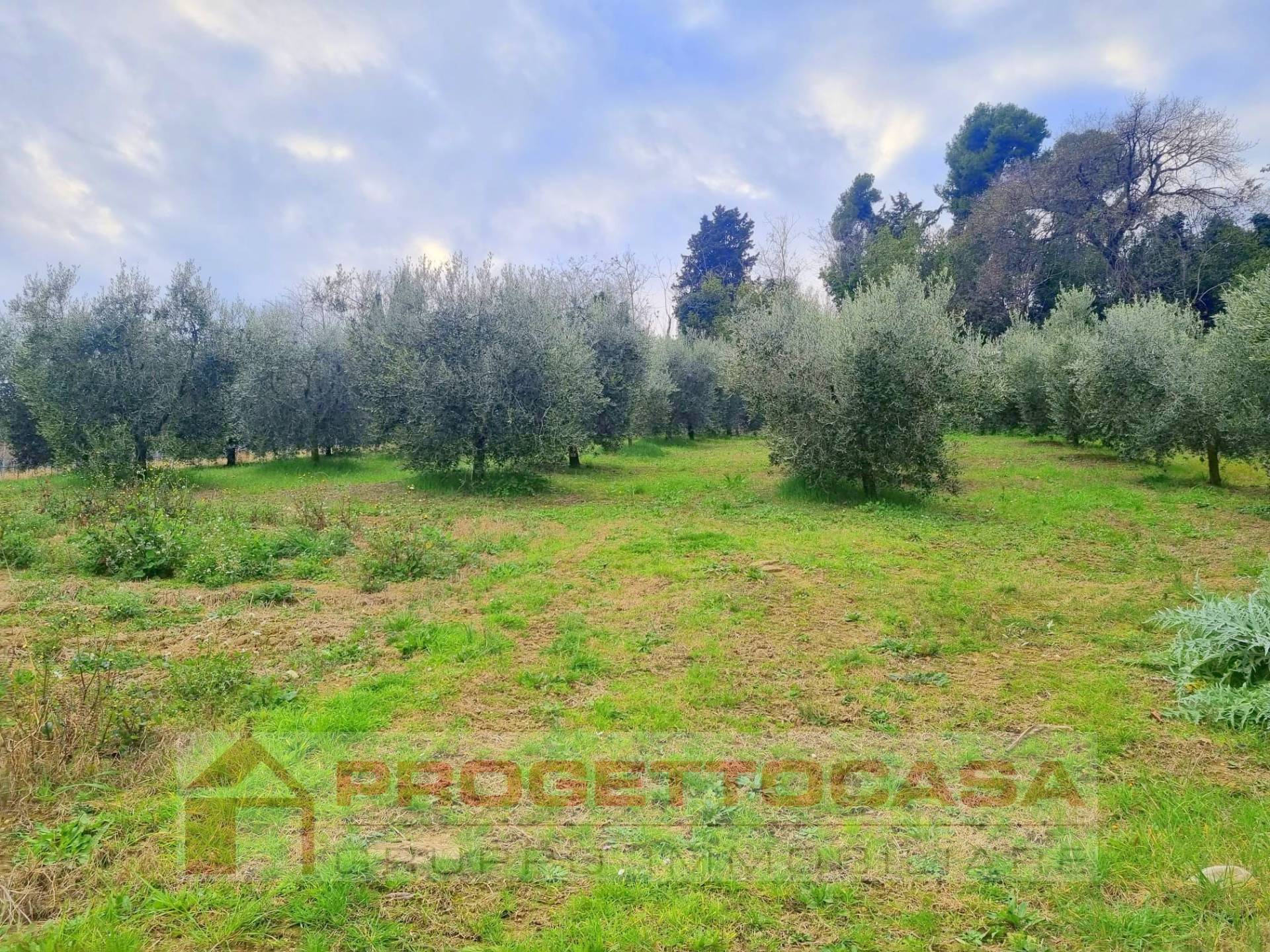 Casa indipendente in vendita a Colli del Tronto