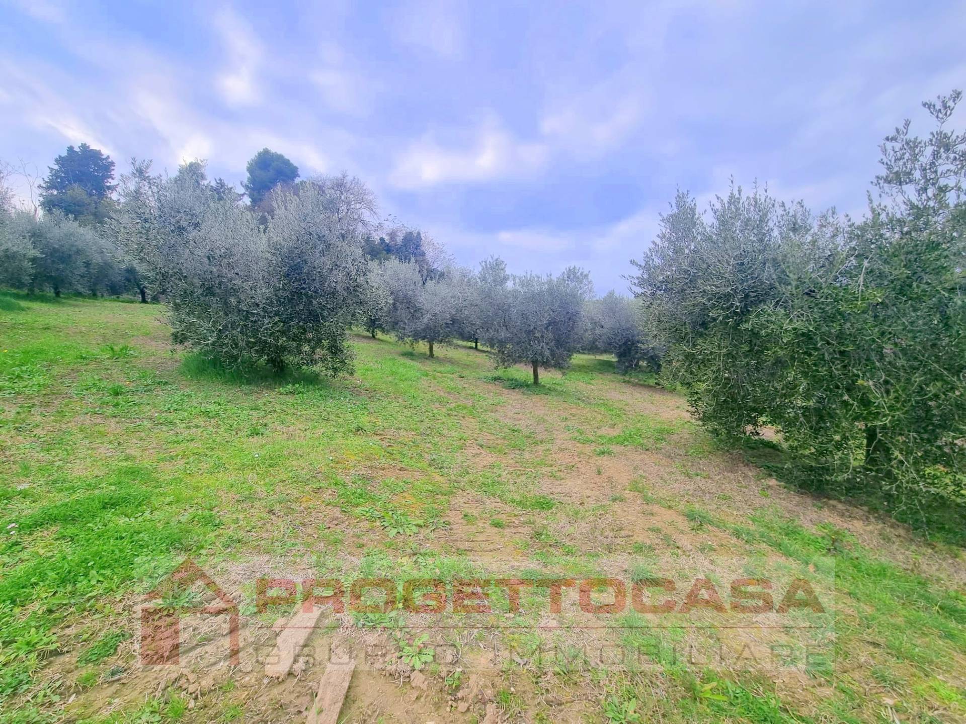 Casa indipendente in vendita a Colli del Tronto