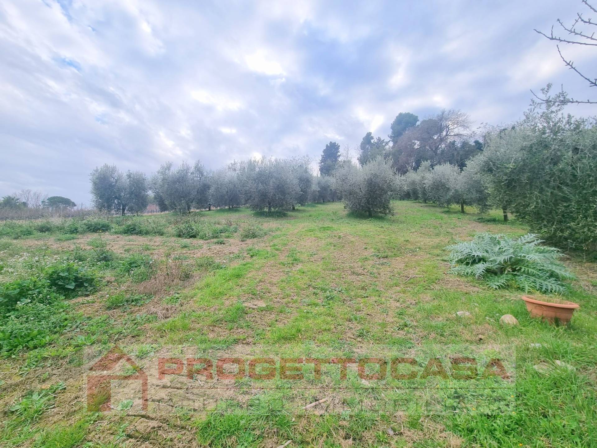 Casa indipendente in vendita a Colli del Tronto