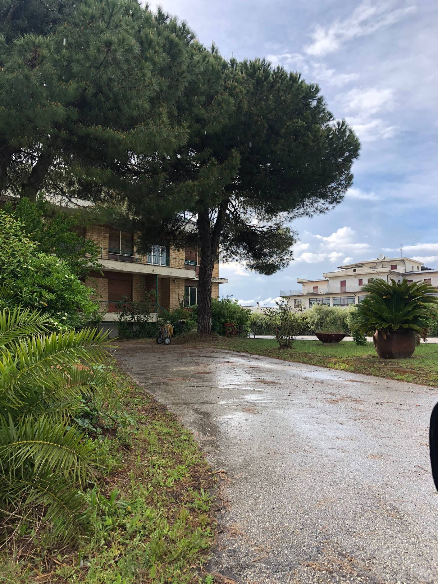 Capannone Industriale/Artigianale in vendita a Martinsicuro