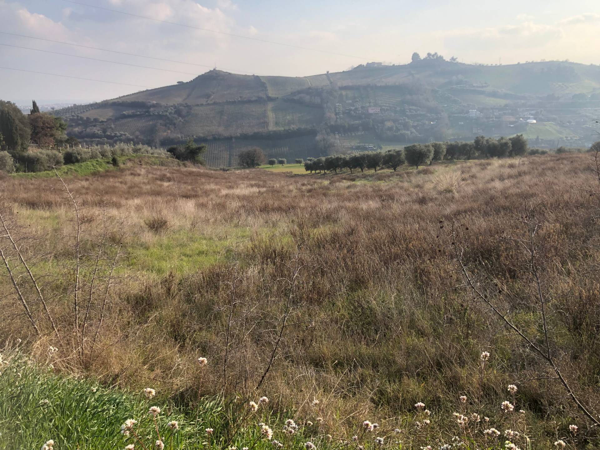 Terreno Agricolo in vendita a San Benedetto del Tronto