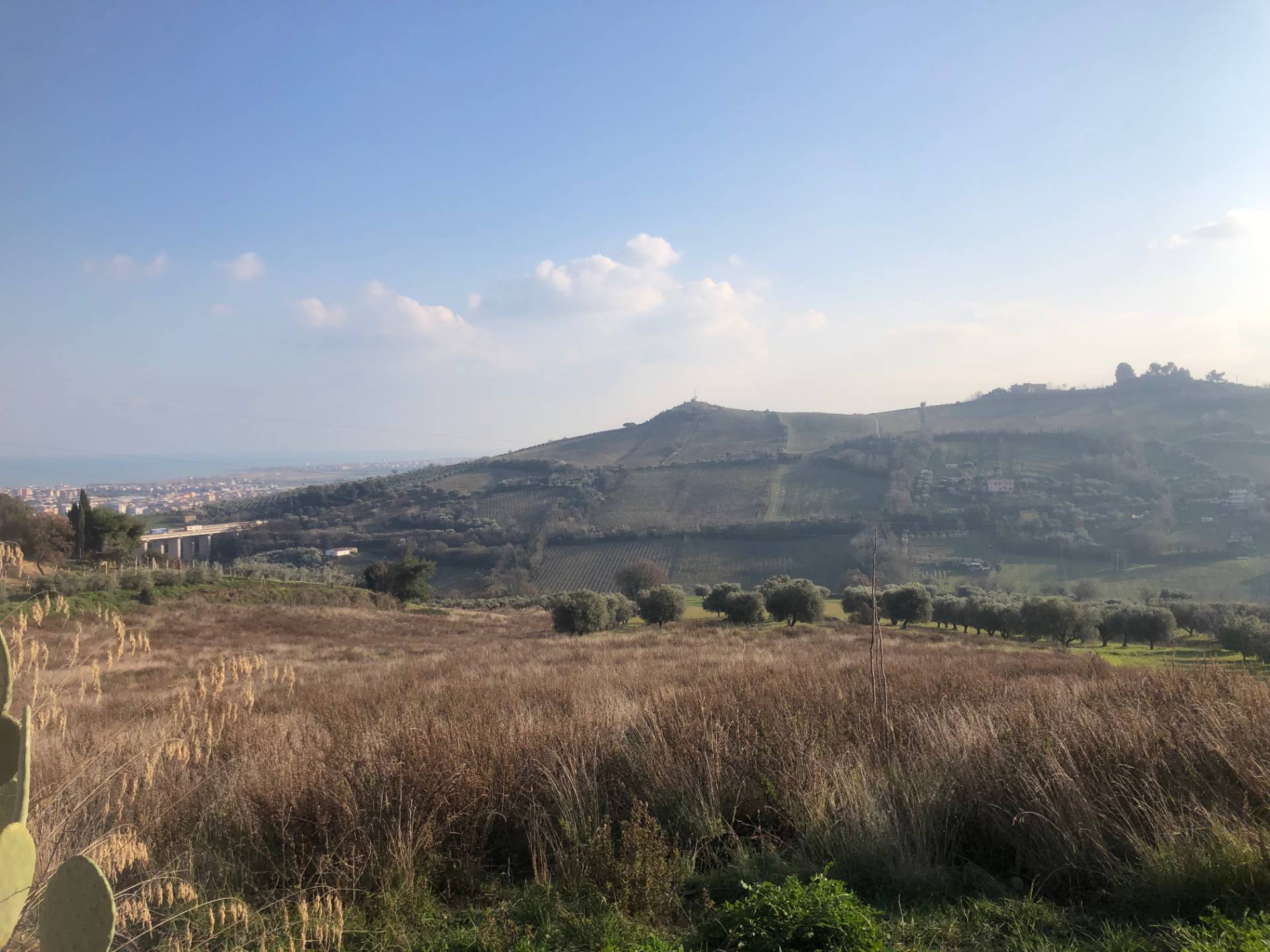 Terreno Agricolo in vendita a San Benedetto del Tronto