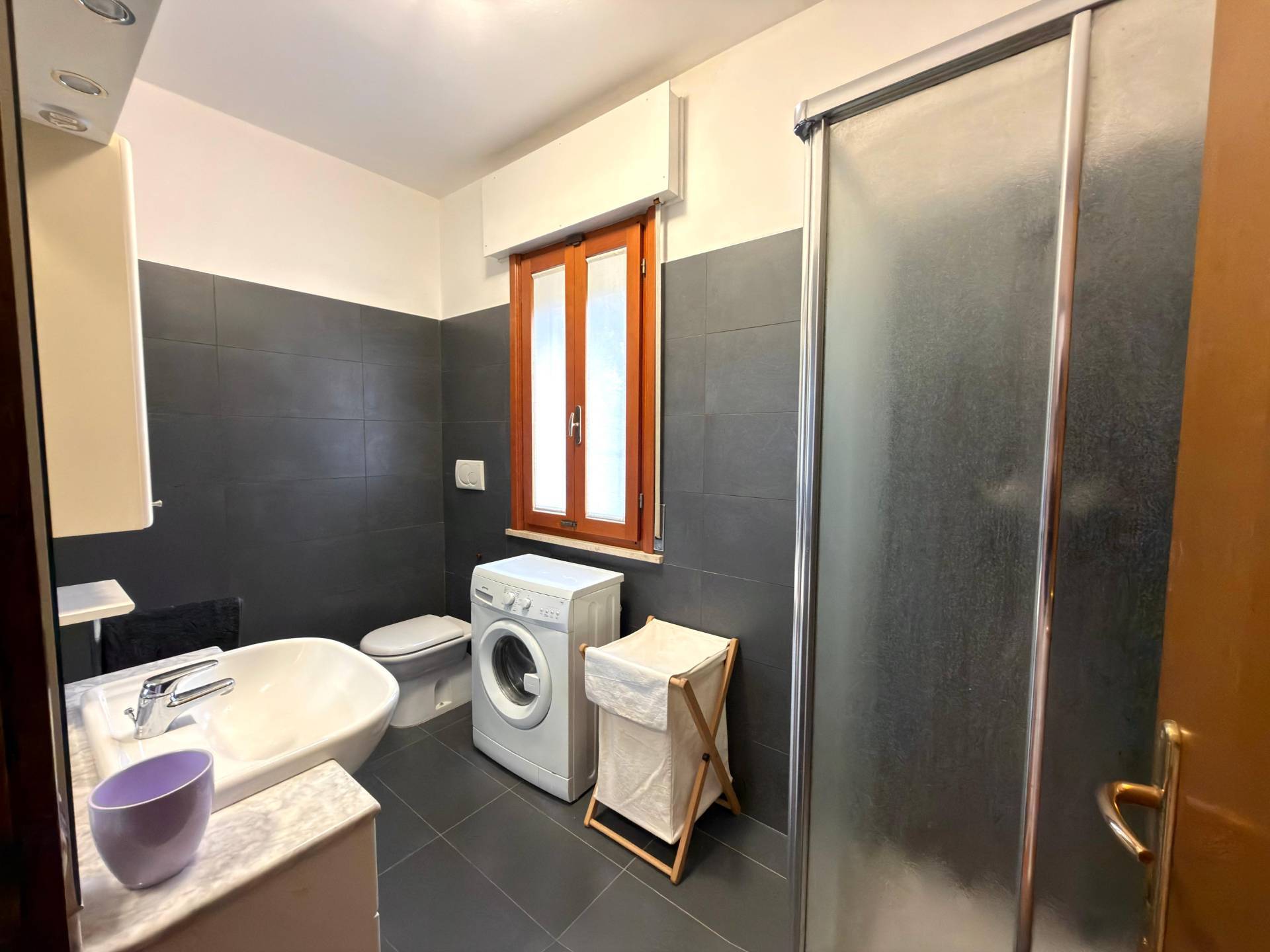 Mini in vendita a Treviso, Selvana