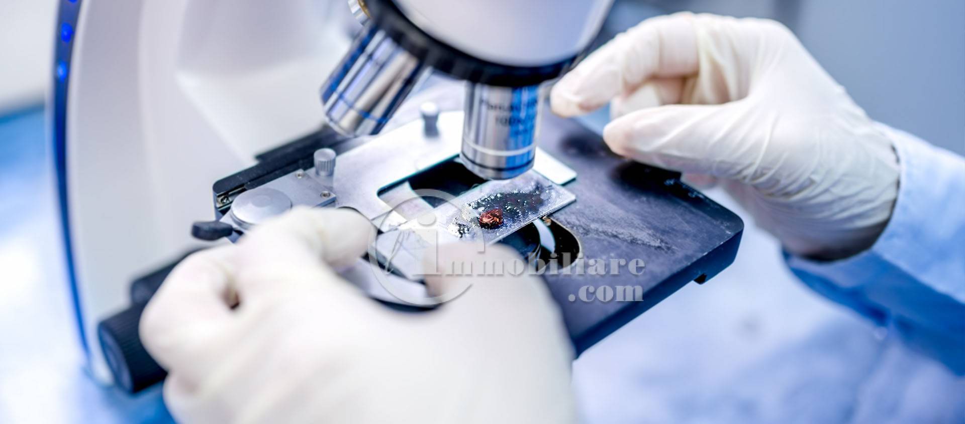 immagine annuncio 7 di 10