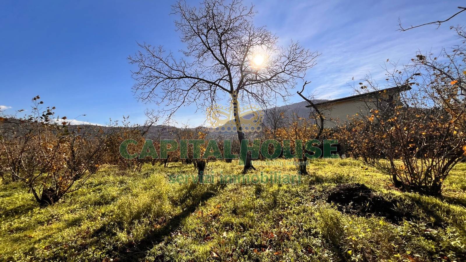 Terreno agricolo in vendita a Monteforte Irpino