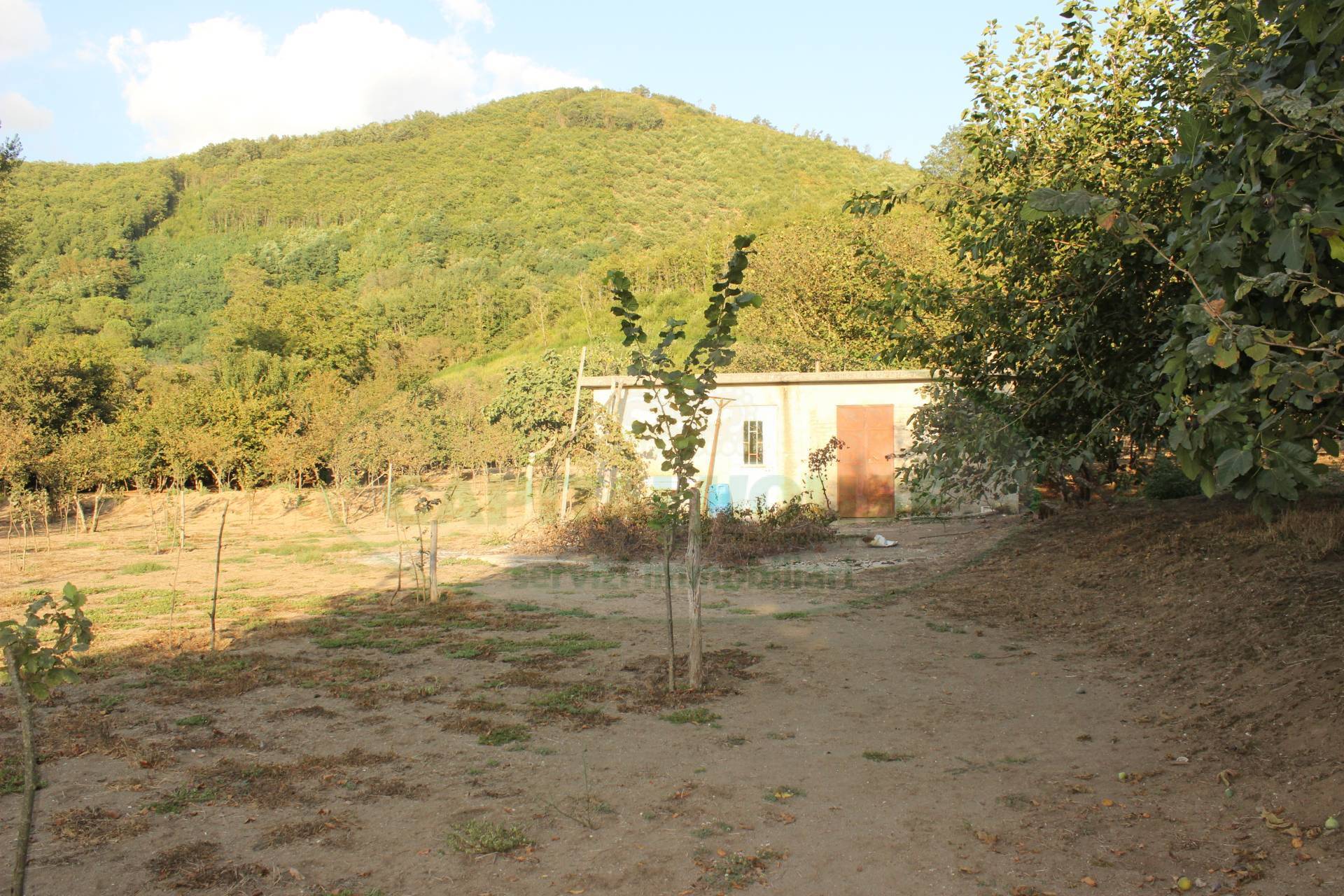 Terreno agricolo in vendita a Forino