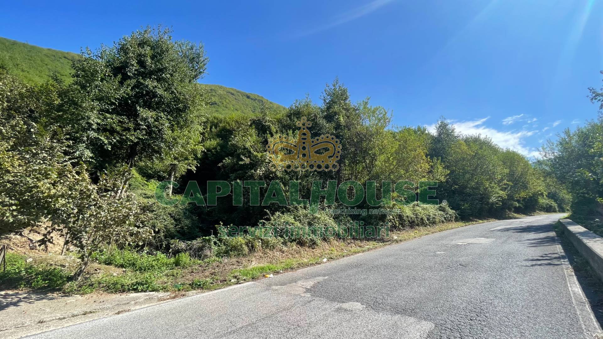 Terreno agricolo in vendita a Monteforte Irpino