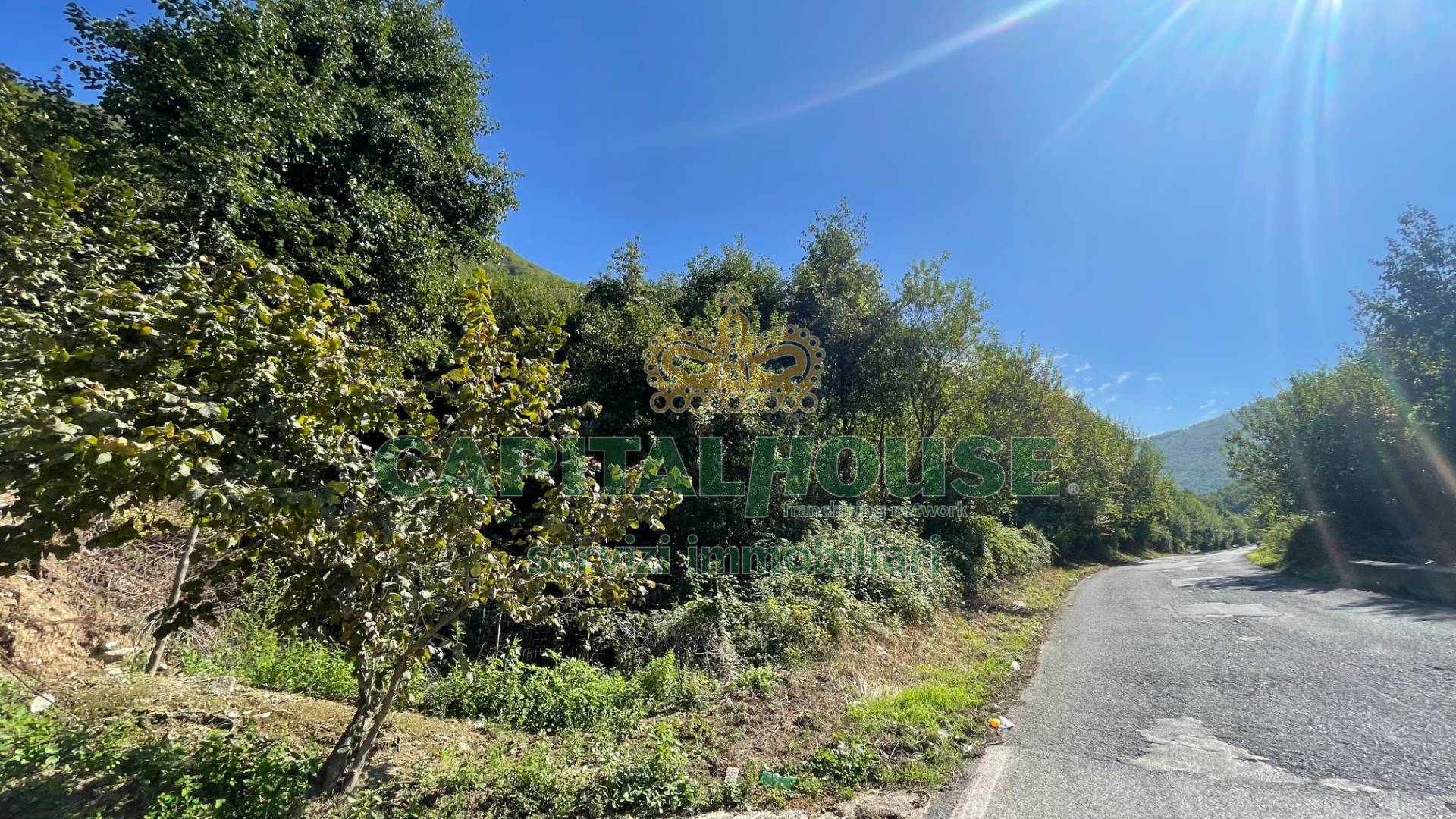 Terreno agricolo in vendita a Monteforte Irpino