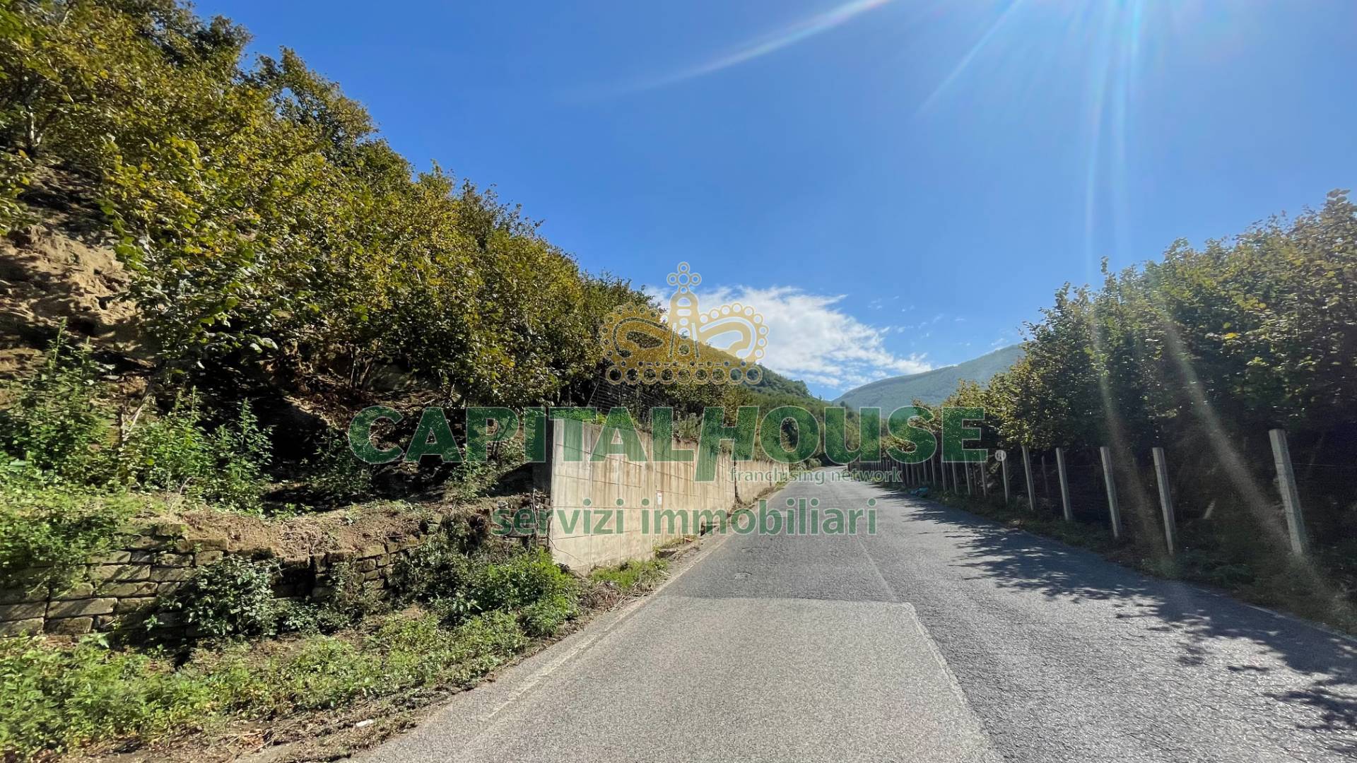 Terreno agricolo in vendita a Monteforte Irpino