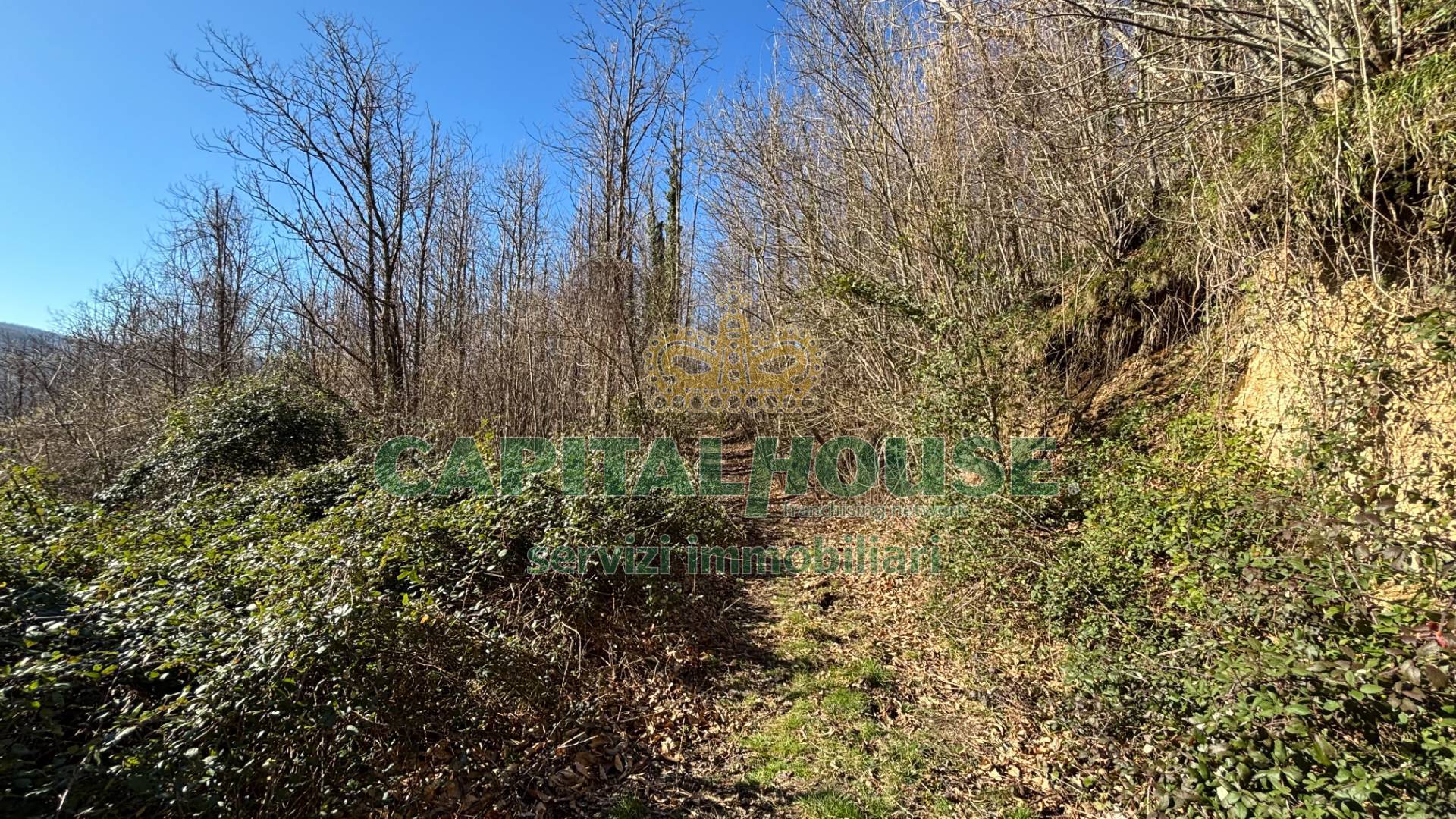 Terreno agricolo in vendita a Monteforte Irpino