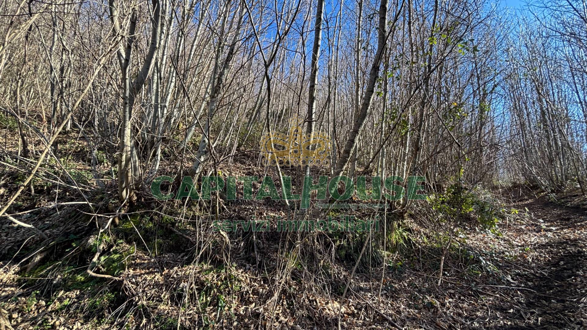 Terreno agricolo in vendita a Monteforte Irpino