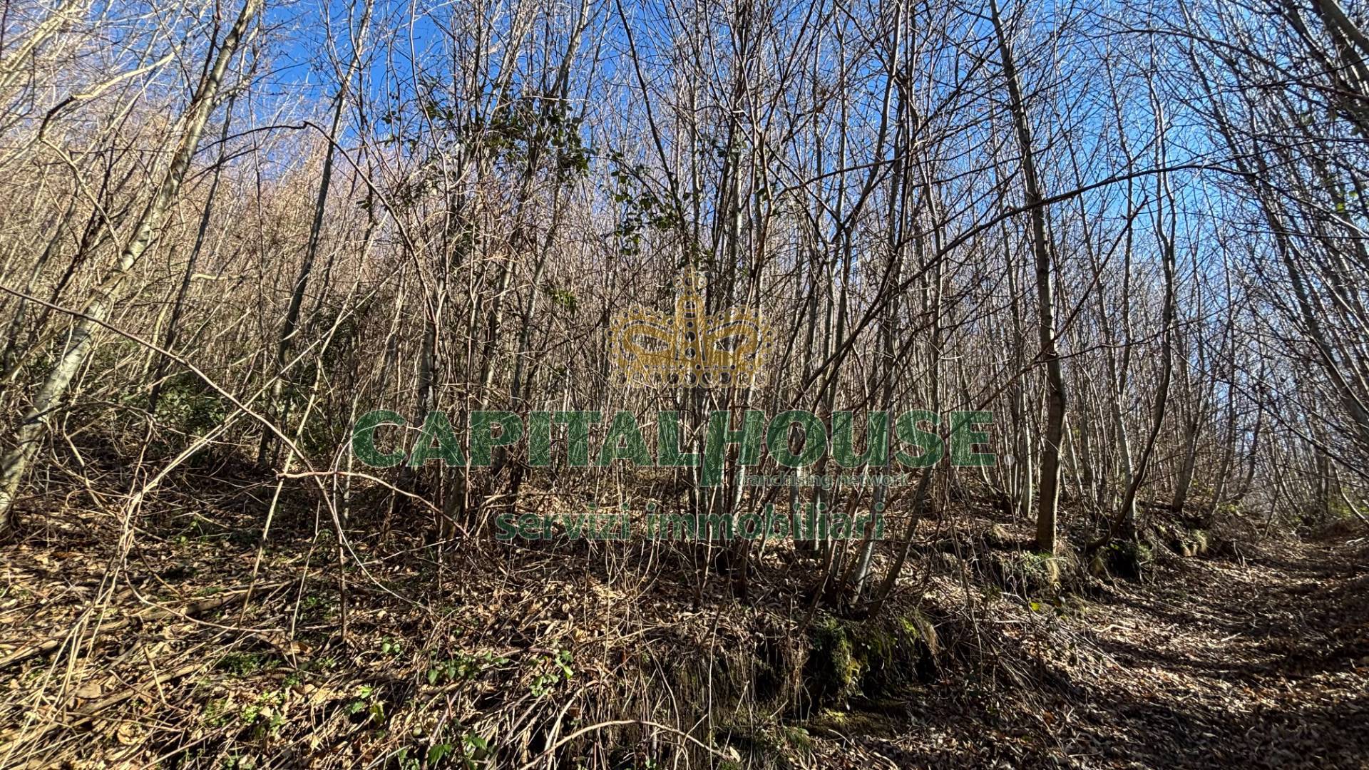 Terreno agricolo in vendita a Monteforte Irpino