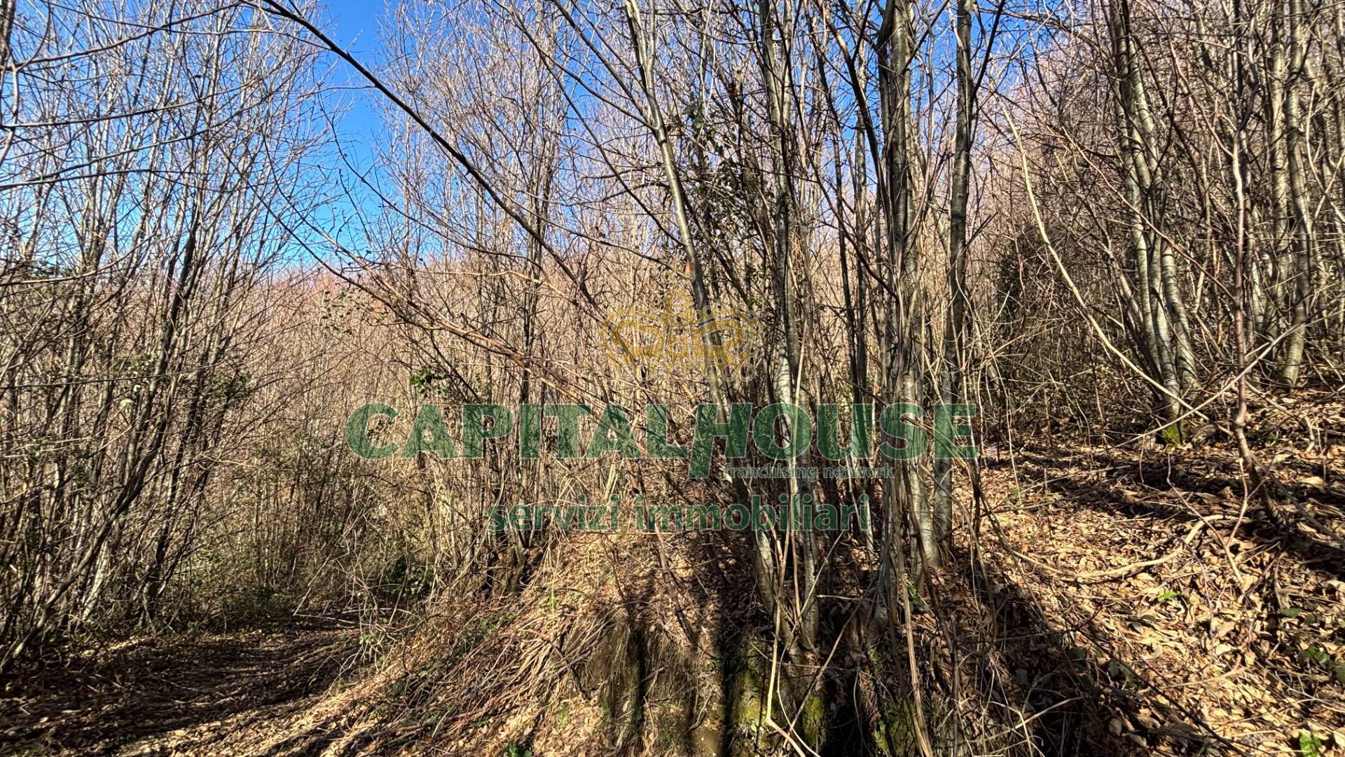 Terreno agricolo in vendita a Monteforte Irpino