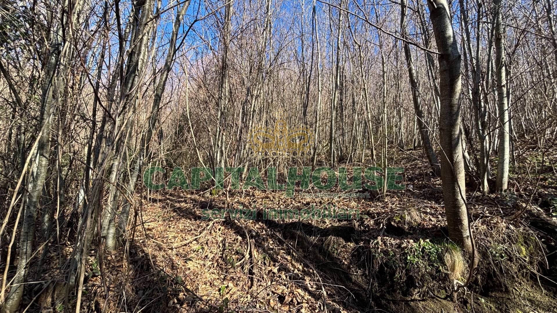 Terreno agricolo in vendita a Monteforte Irpino