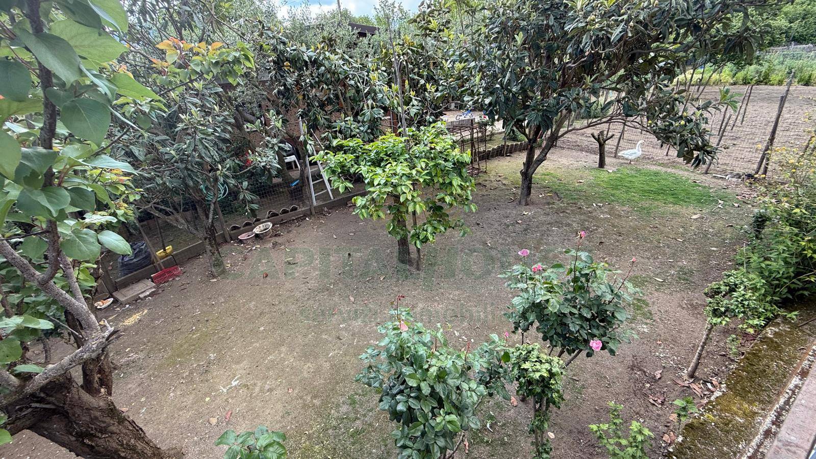 S.Indipendente in vendita a Forino