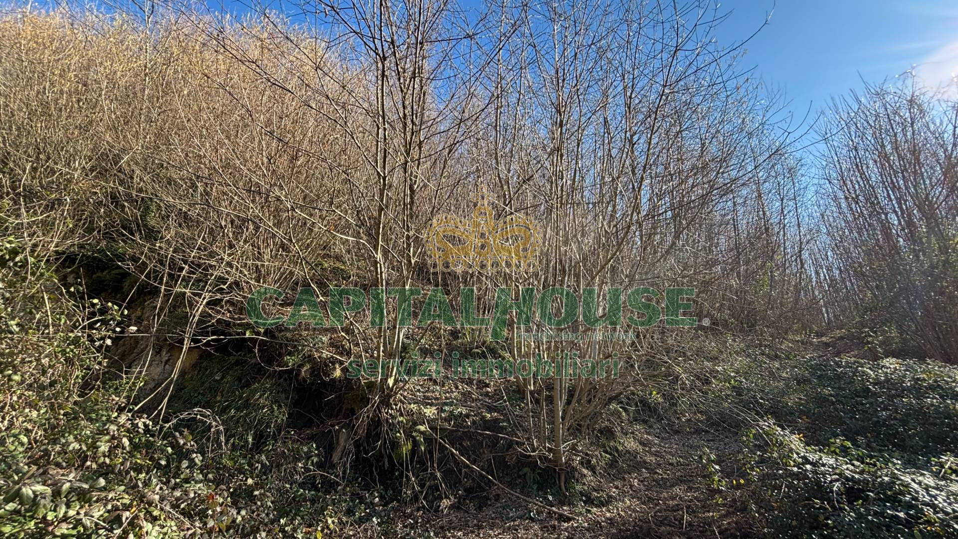 Terreno agricolo in vendita a Monteforte Irpino