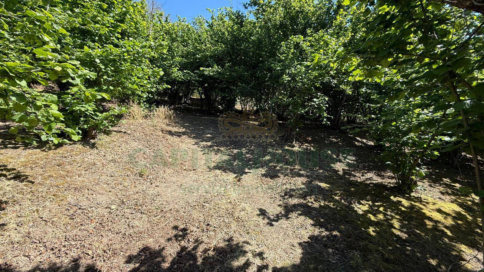 Terreno agricolo in vendita a Forino