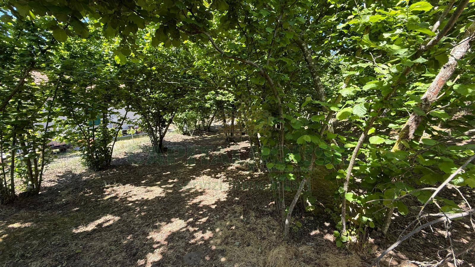 Terreno agricolo in vendita a Forino