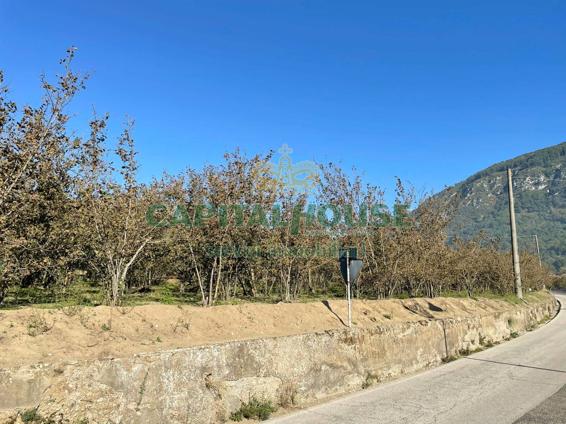 Terreno agricolo in vendita a Forino