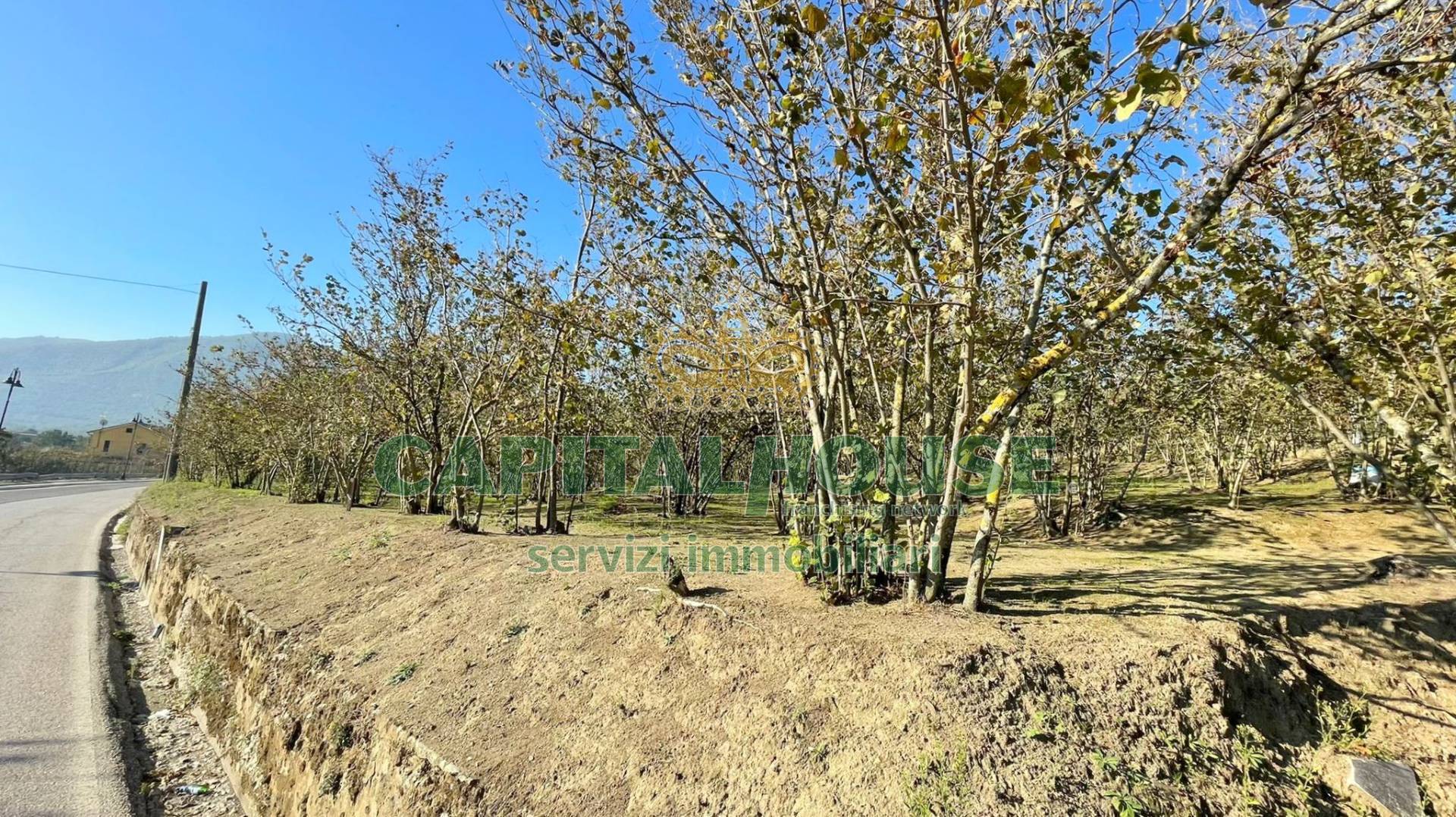Terreno agricolo in vendita a Forino