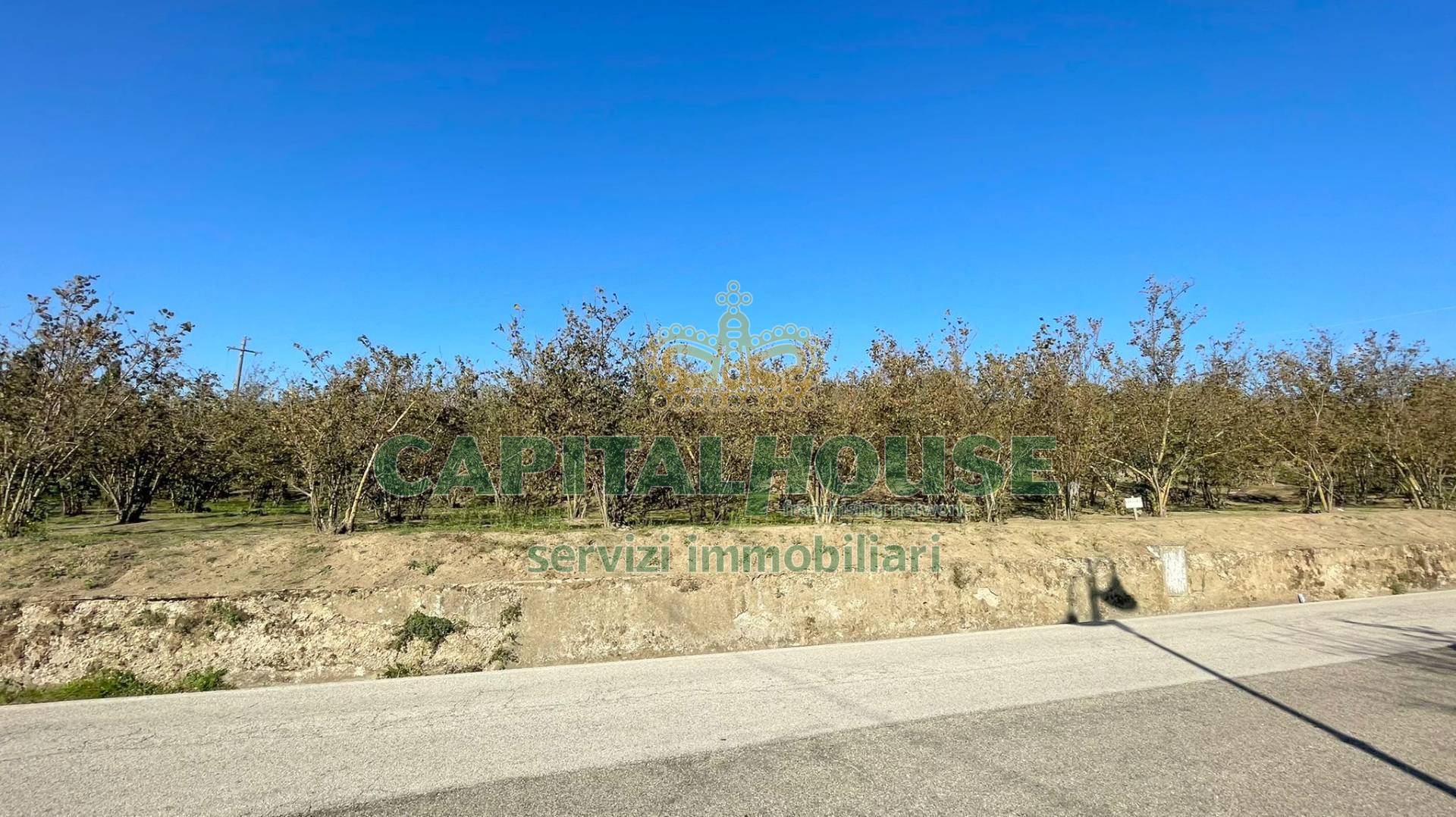 Terreno agricolo in vendita a Forino