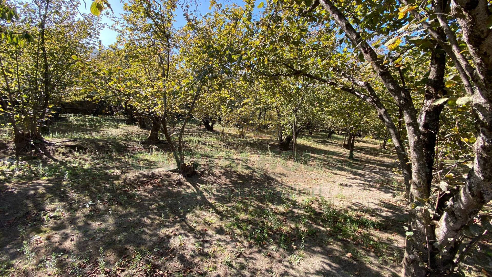 Terreno agricolo in vendita a Monteforte Irpino