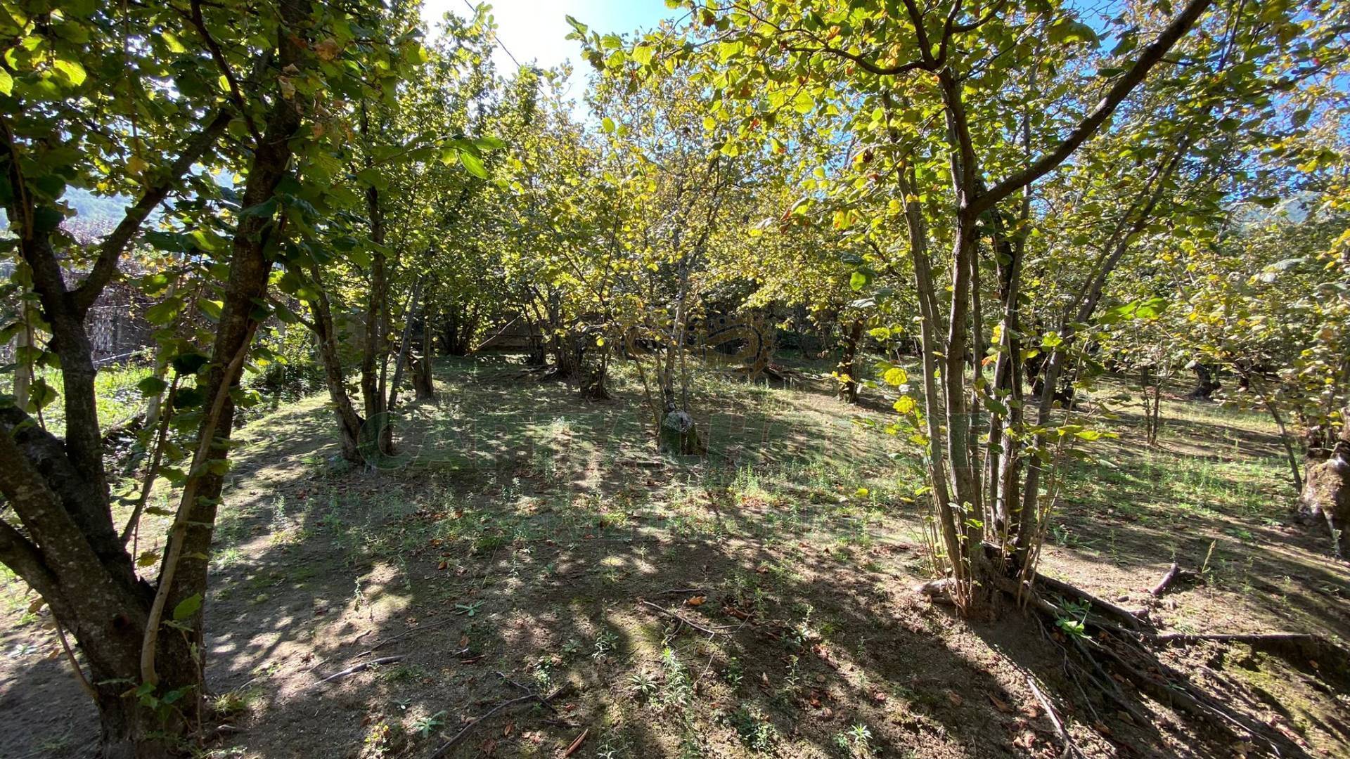 Terreno agricolo in vendita a Monteforte Irpino