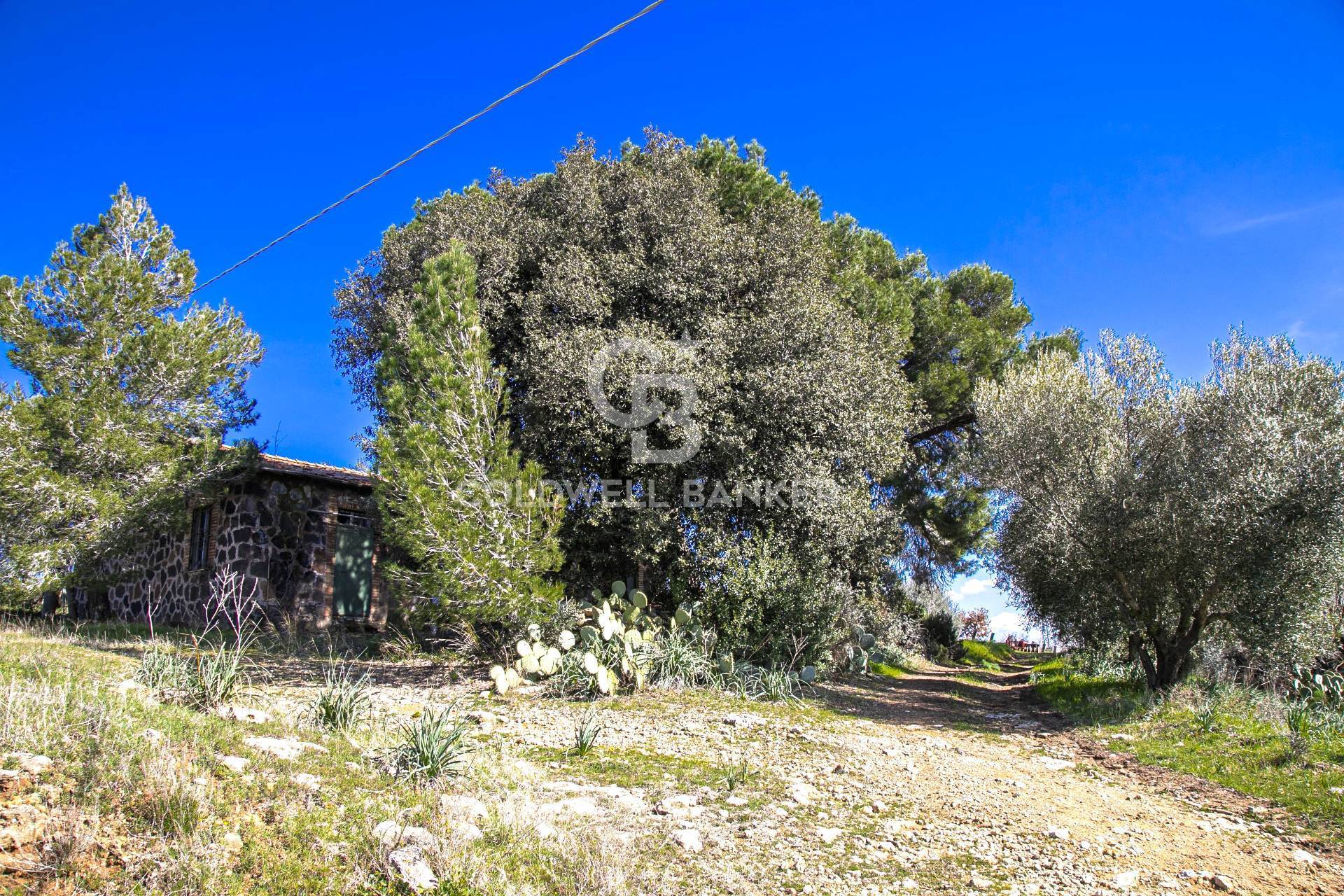 Rustico/Casale/Corte in vendita a Tarquinia, Campagna