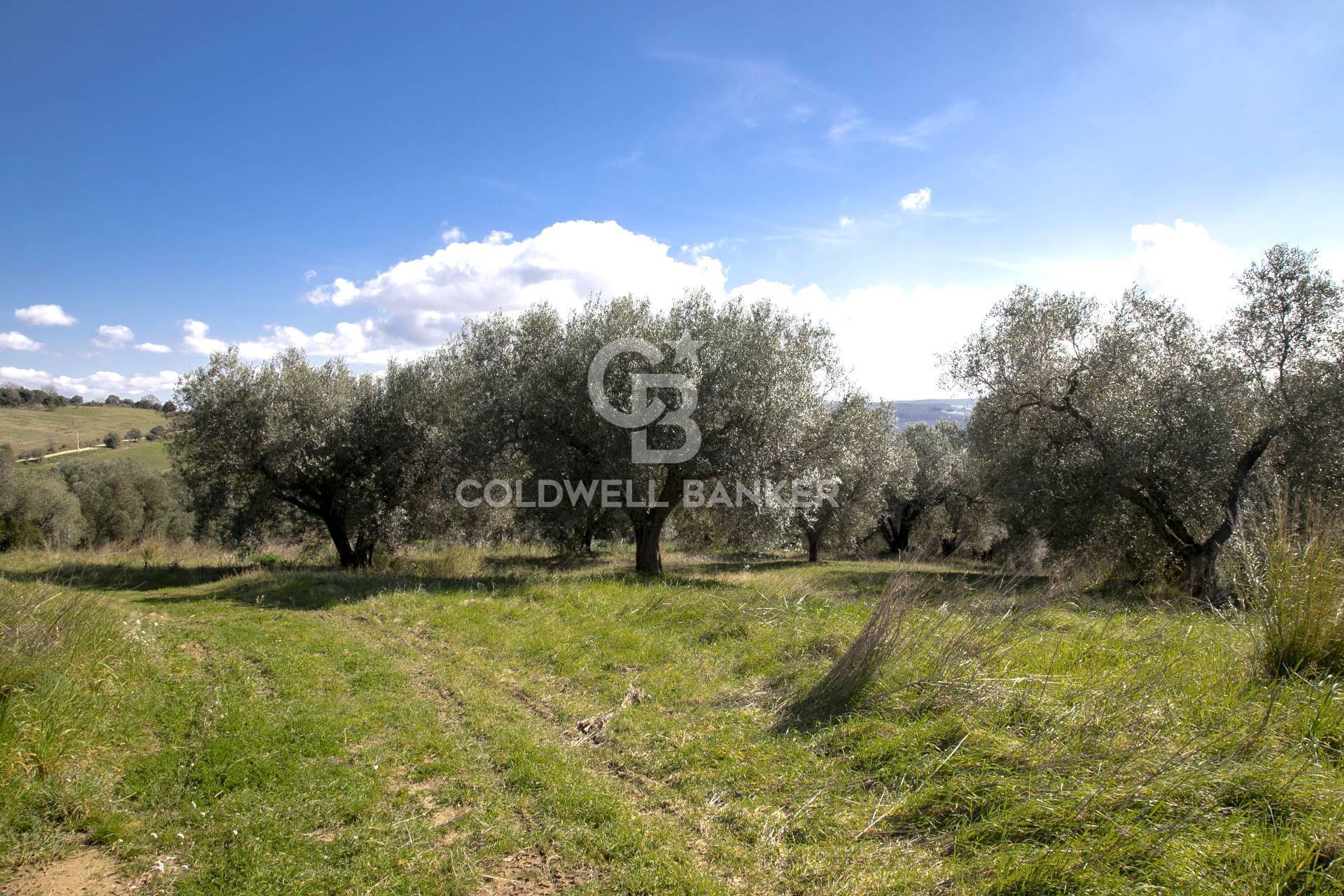 Rustico/Casale/Corte in vendita a Tarquinia, Campagna
