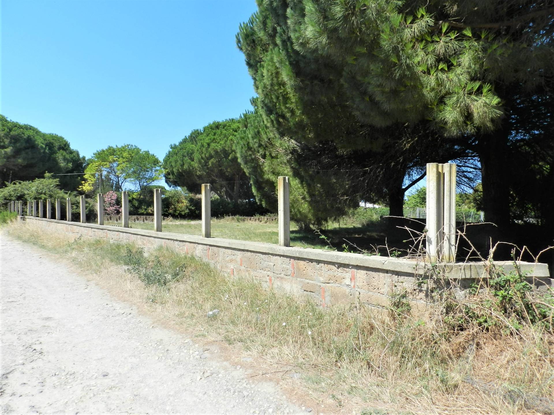 Terreno agricolo in vendita a Tarquinia, San Giorgio