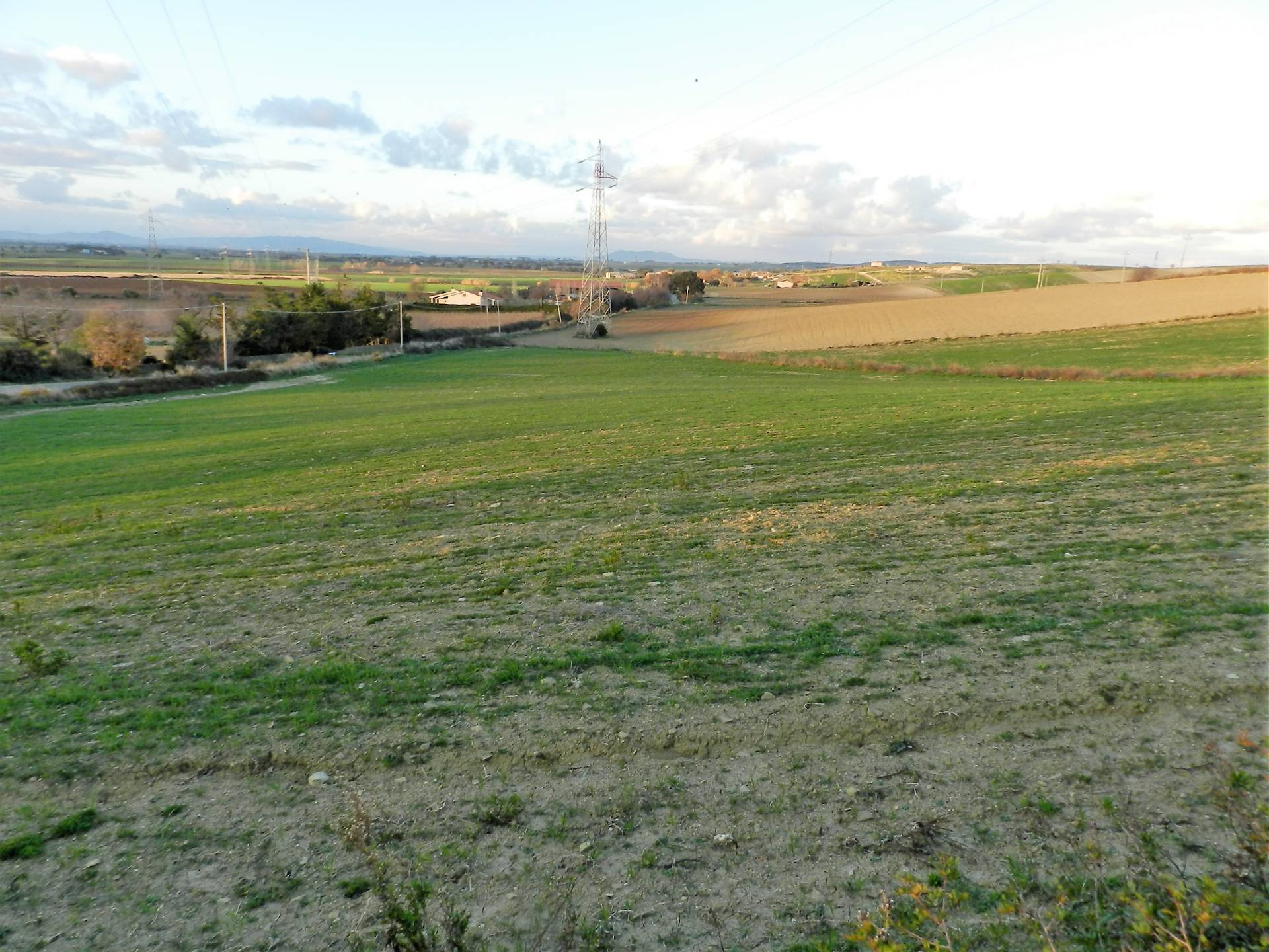 Terreno in vendita a Tarquinia, Campagna