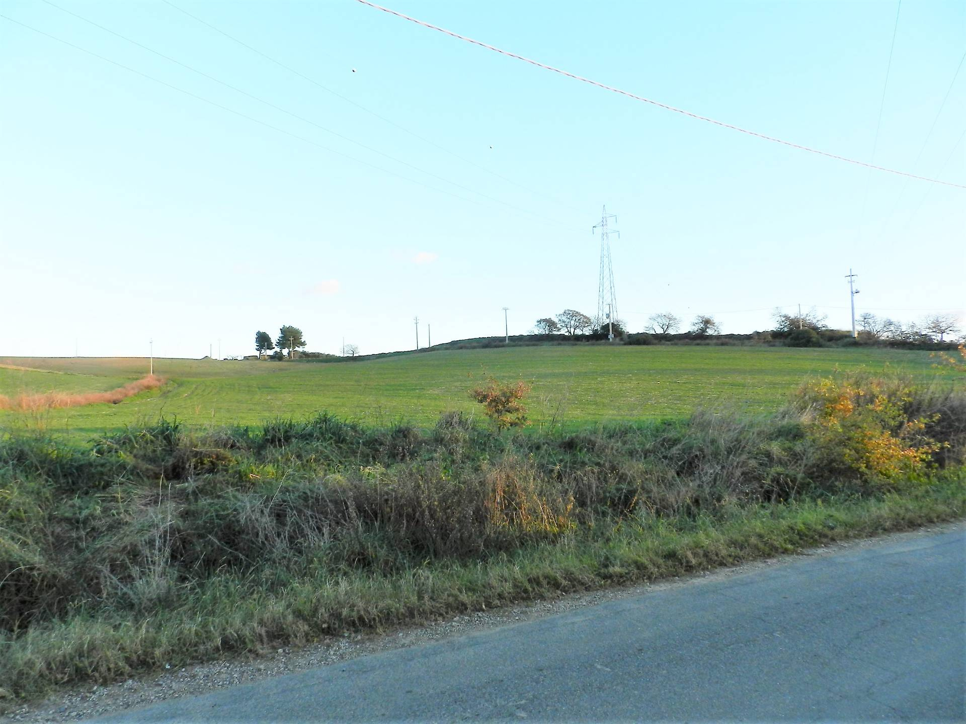 Terreno in vendita a Tarquinia, Campagna