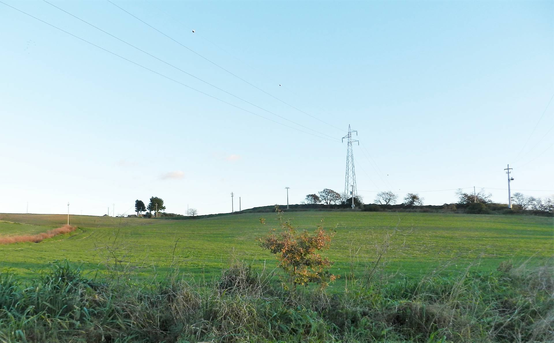 Terreno in vendita a Tarquinia, Campagna