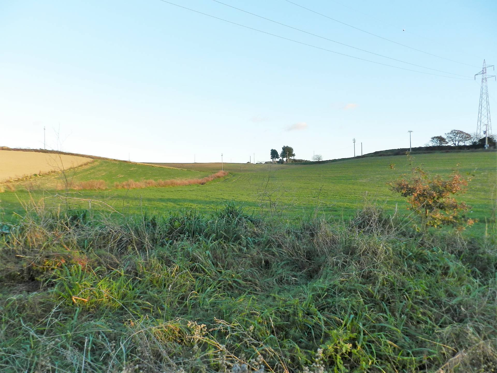 Terreno in vendita a Tarquinia, Campagna