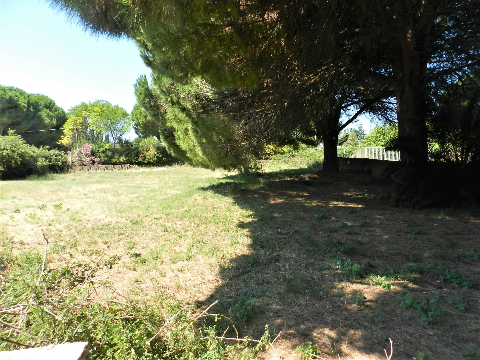 Terreno agricolo in vendita a Tarquinia, San Giorgio