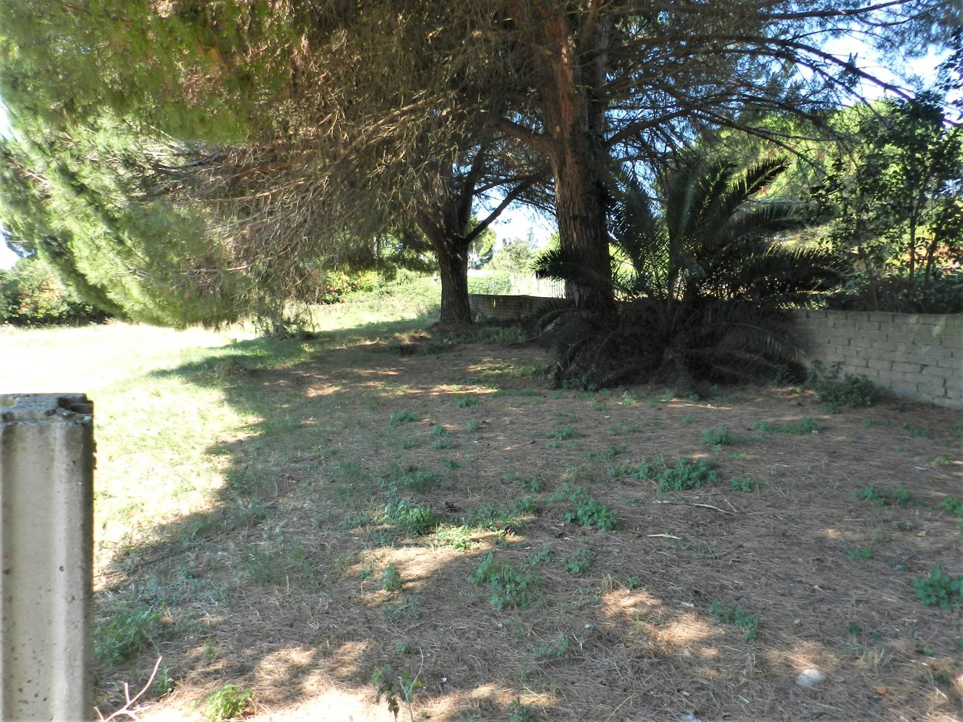 Terreno agricolo in vendita a Tarquinia, San Giorgio