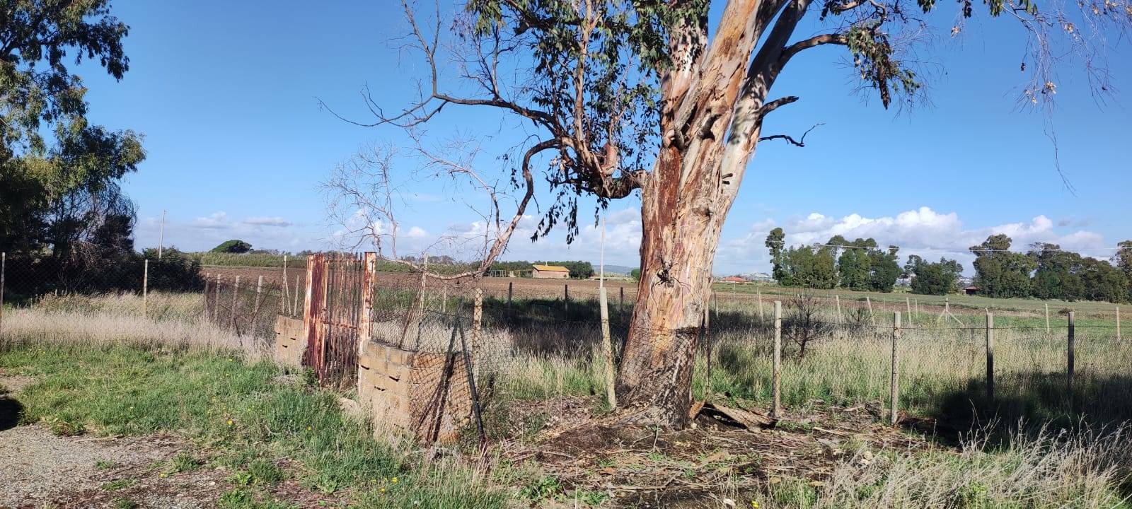 Terreno in vendita a Tarquinia, San Giorgio