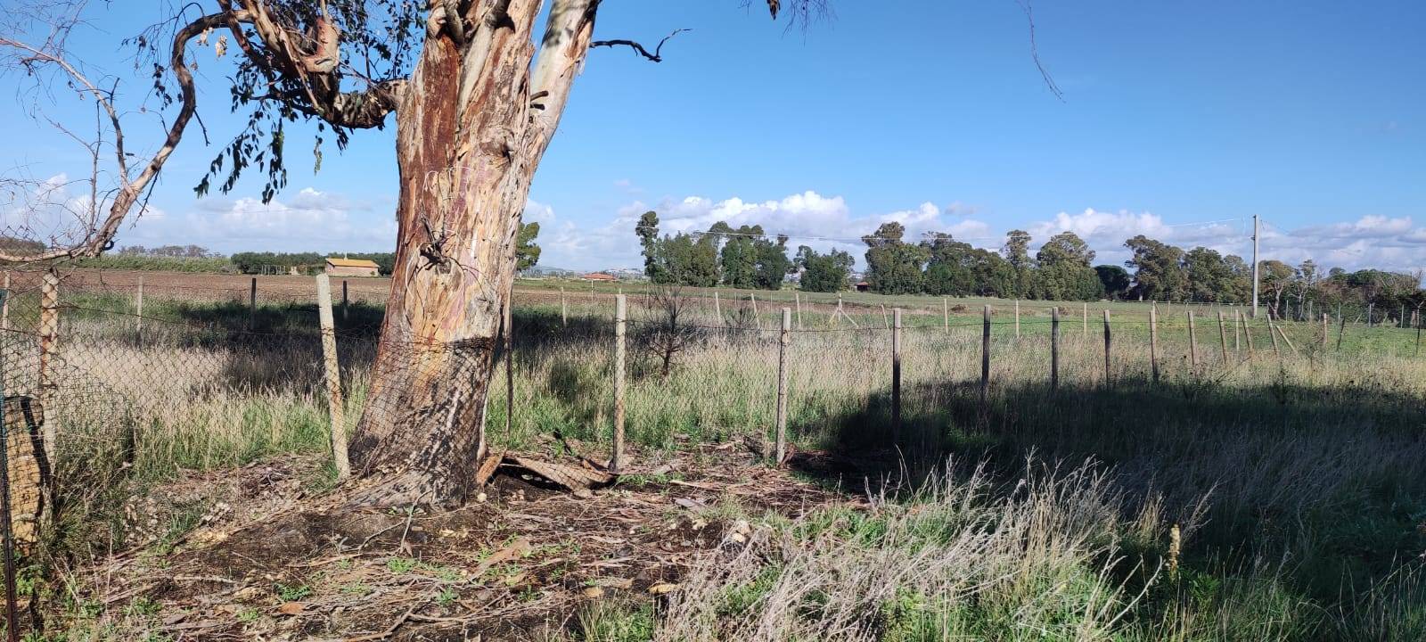 Terreno in vendita a Tarquinia, San Giorgio