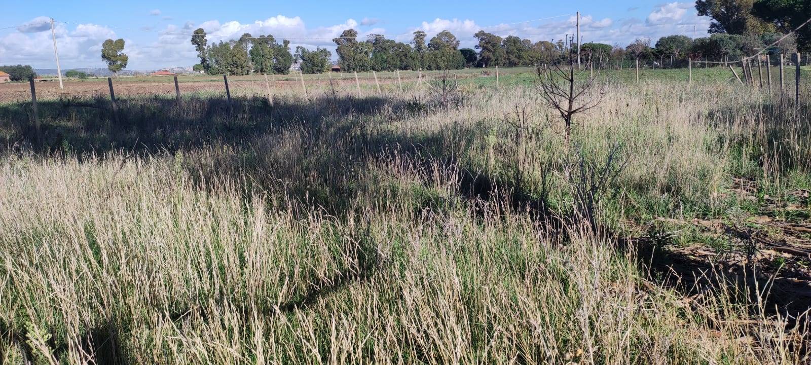 Terreno in vendita a Tarquinia, San Giorgio
