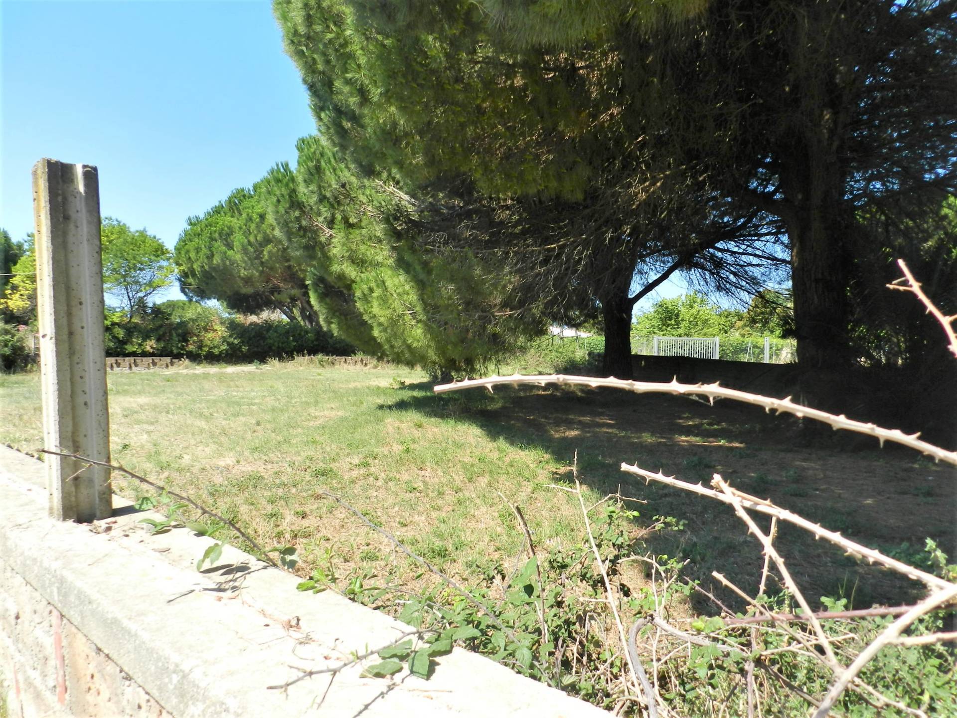 Terreno agricolo in vendita a Tarquinia, San Giorgio