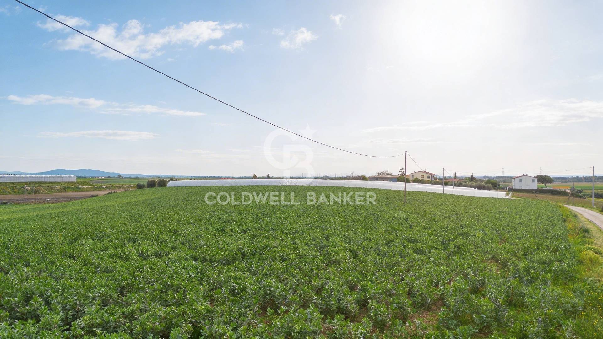 Terreno agricolo in vendita a Montalto di Castro, Pescia Romana
