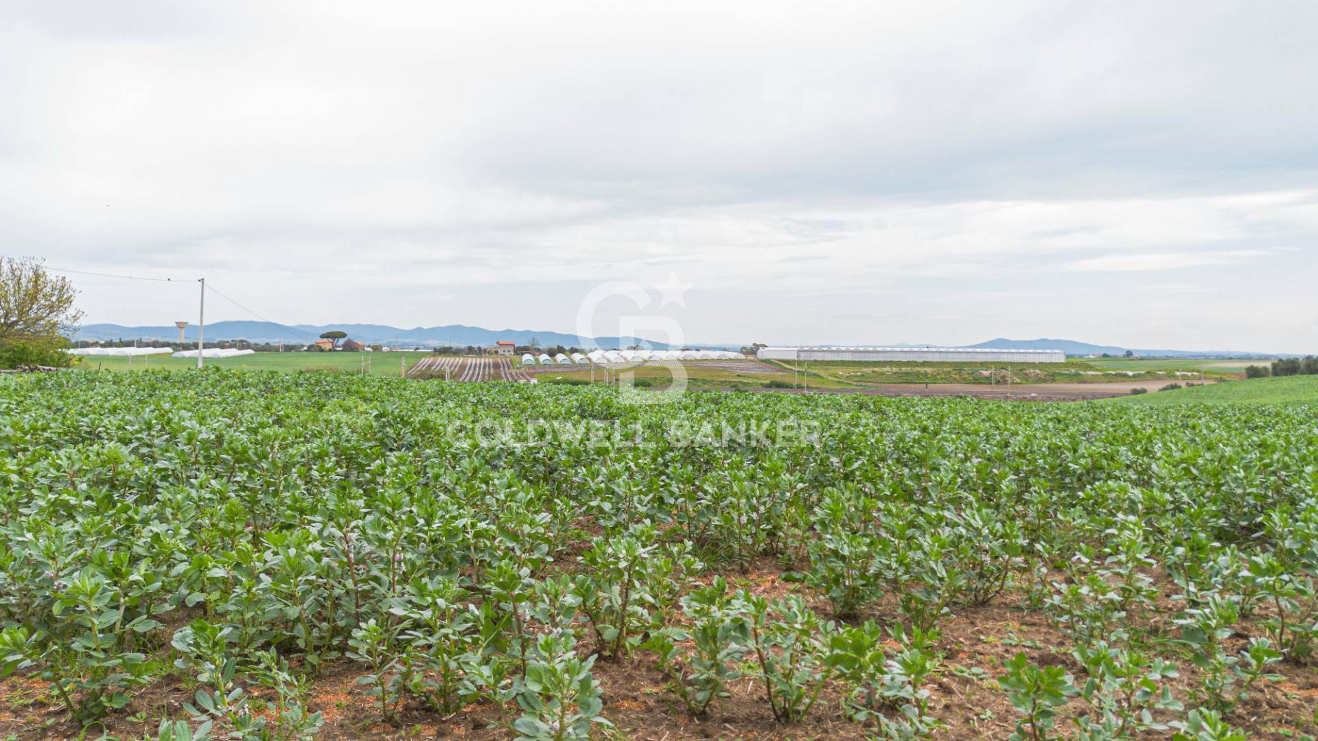 Terreno agricolo in vendita a Montalto di Castro, Pescia Romana
