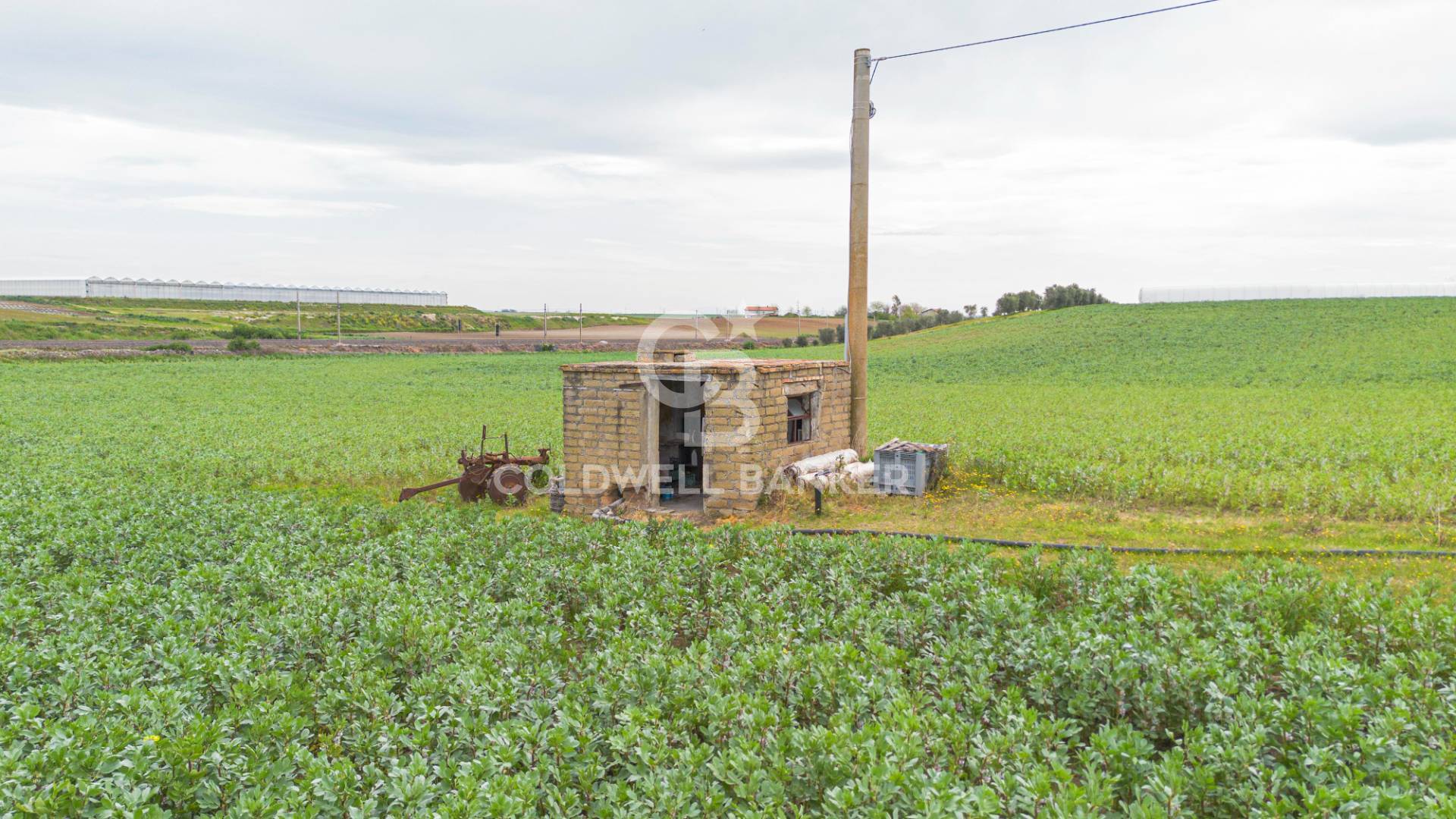 Terreno agricolo in vendita a Montalto di Castro, Pescia Romana