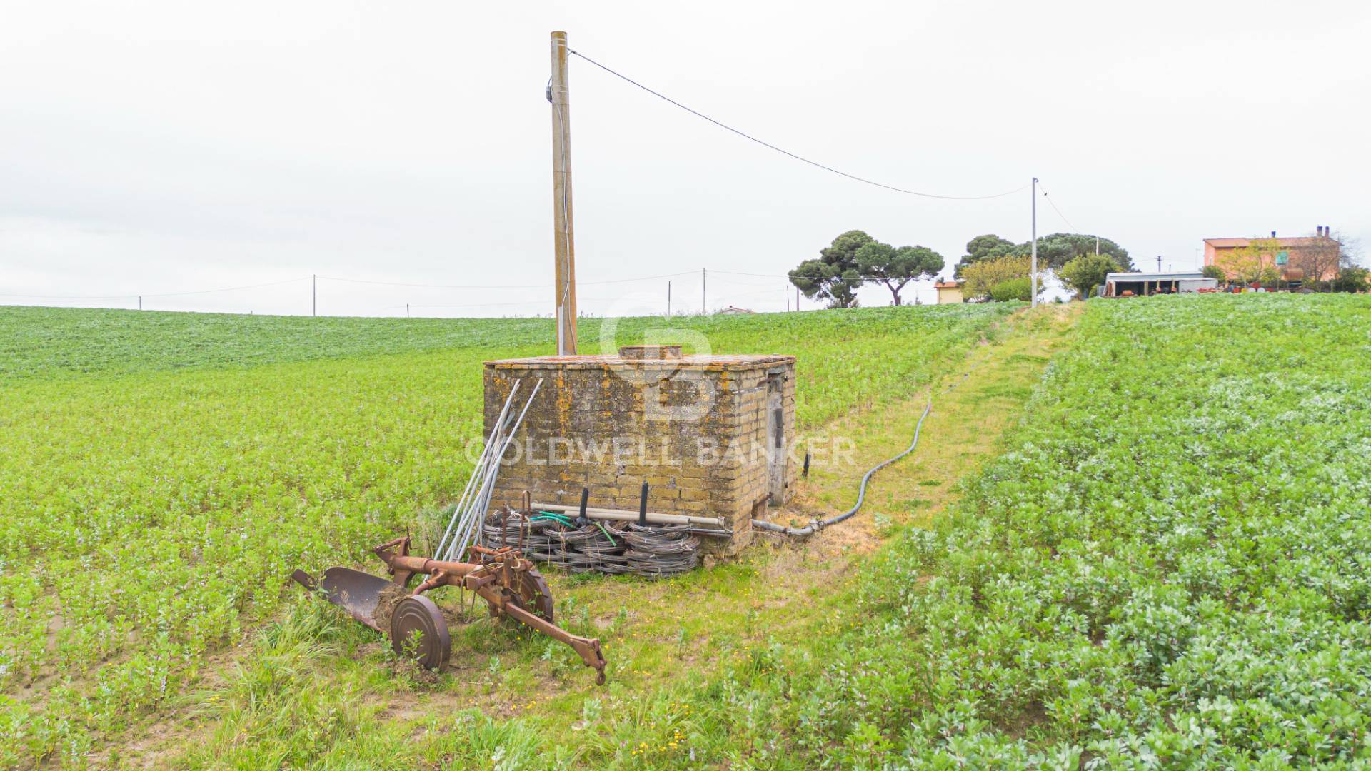 Terreno agricolo in vendita a Montalto di Castro, Pescia Romana