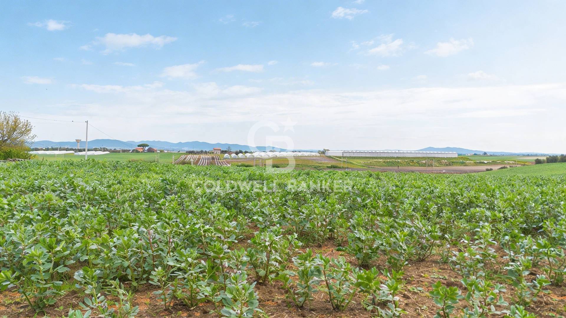 Terreno agricolo in vendita a Montalto di Castro, Pescia Romana