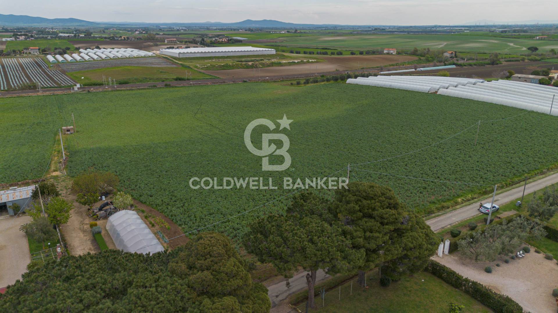 Terreno agricolo in vendita a Montalto di Castro, Pescia Romana