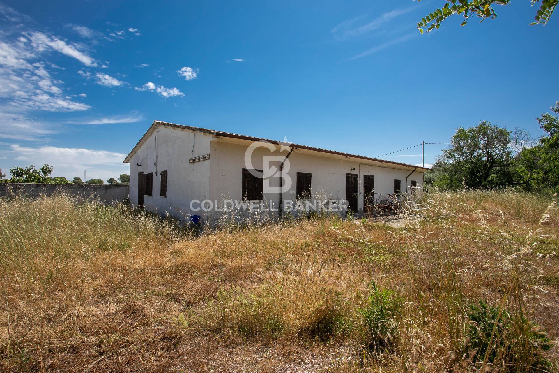 Villa quadrifamiliare in vendita a Montalto di Castro, Montalto di Castro