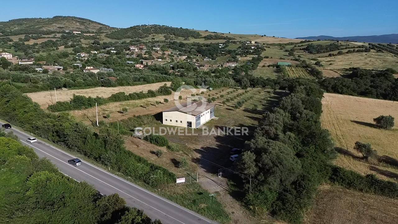 Capannone in vendita a Monte Romano