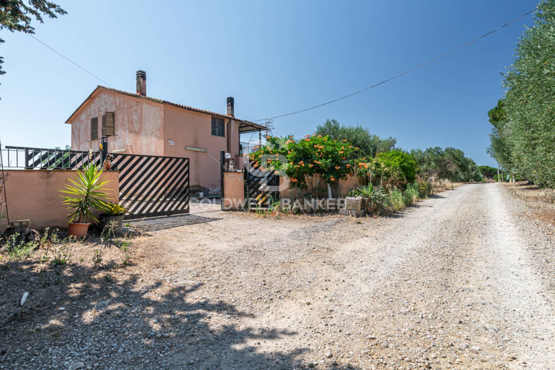 Rustico/Casale/Corte in vendita a Tarquinia, Campagna
