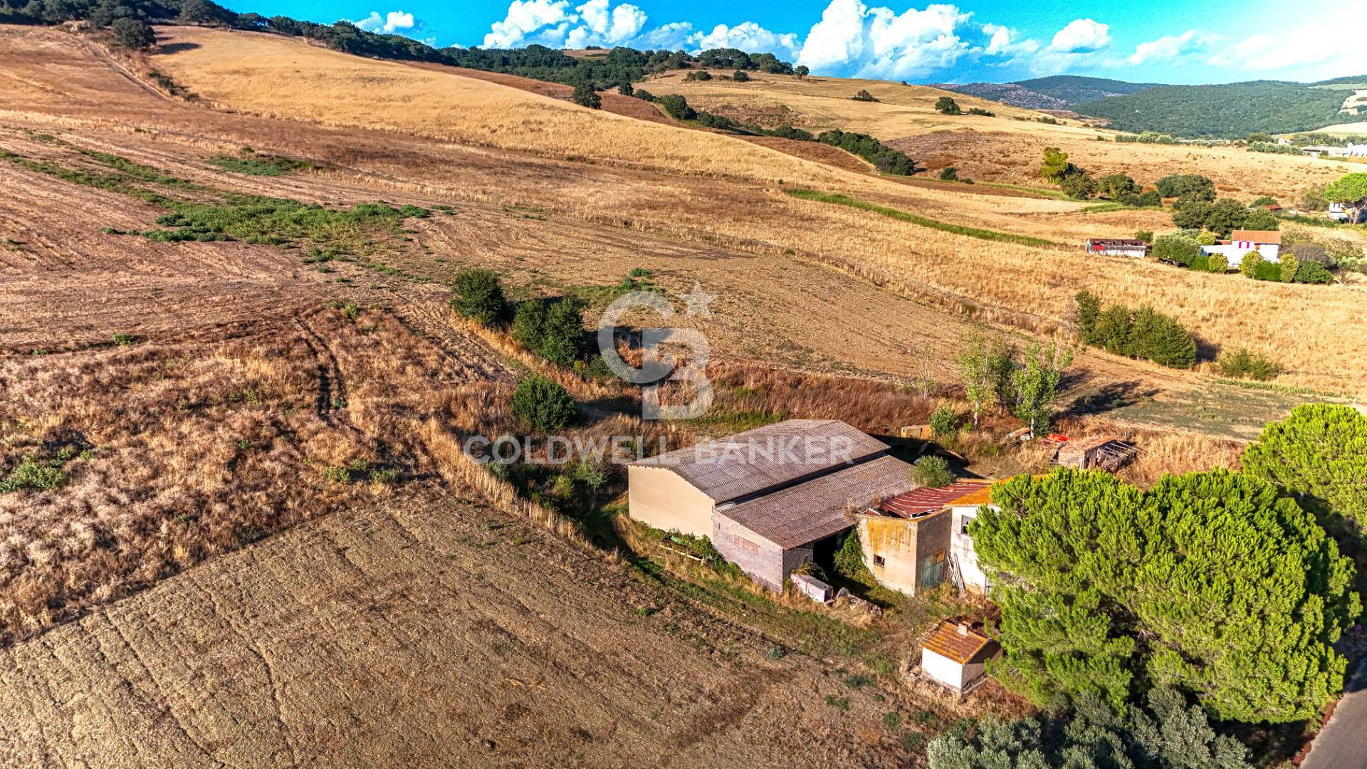 Rustico/Casale/Corte in vendita a Tarquinia, Campagna